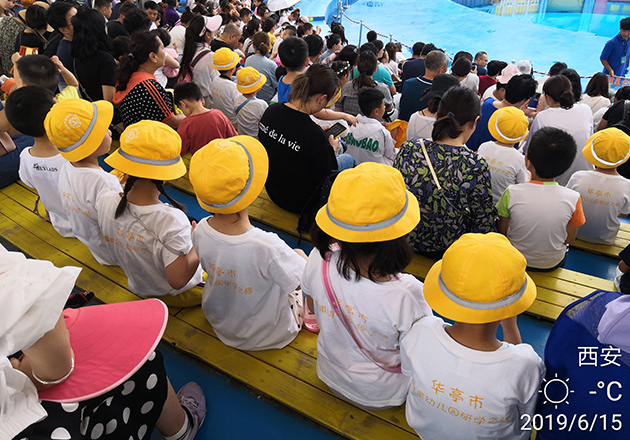 9ec0e03559.jpg