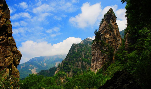 走进朱雀森林公园 认识秦岭生态资源