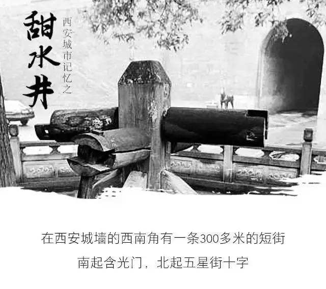 timg (11).jpg
