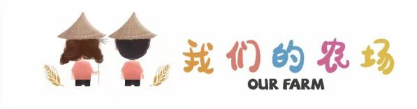植树季--同学，你好