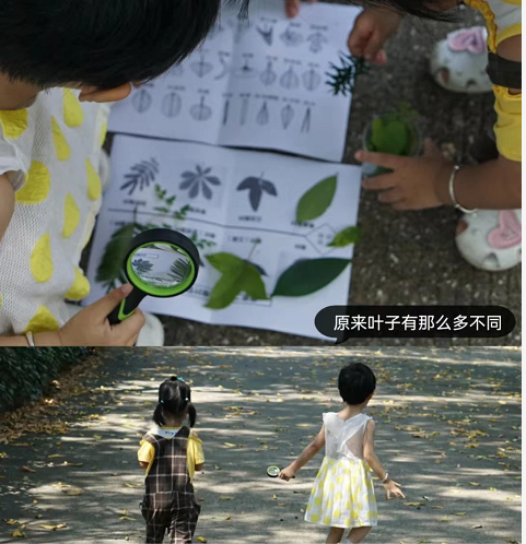 图片20.png