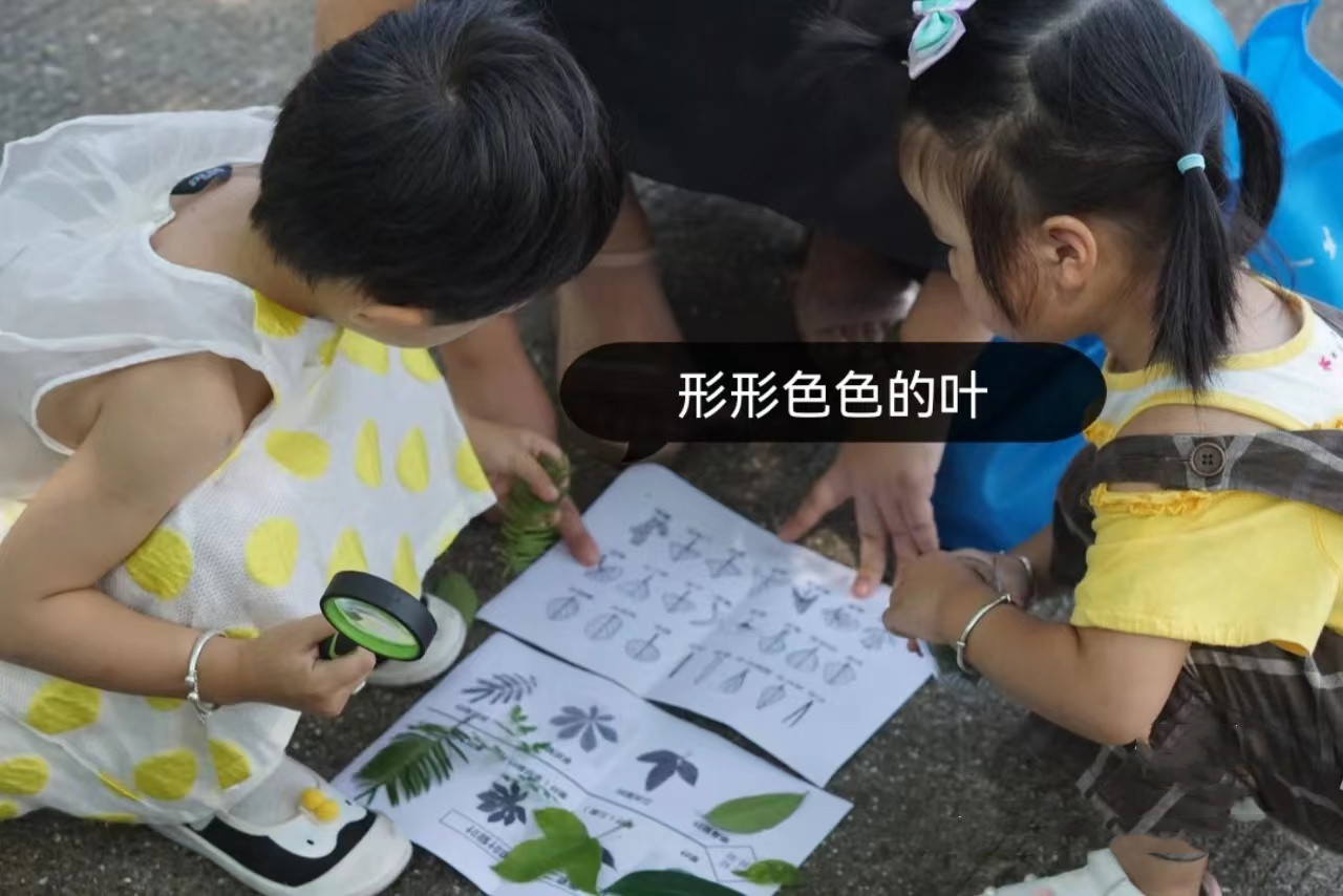 树叶.jpg